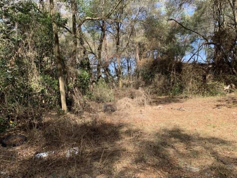 2361 SE 178 Street Summerfield FL 34491