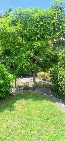 1124 Rialto Drive Boynton Beach FL 33436