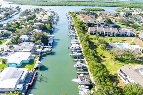 3336 Caracal Drive Hutchinson Island FL 34949