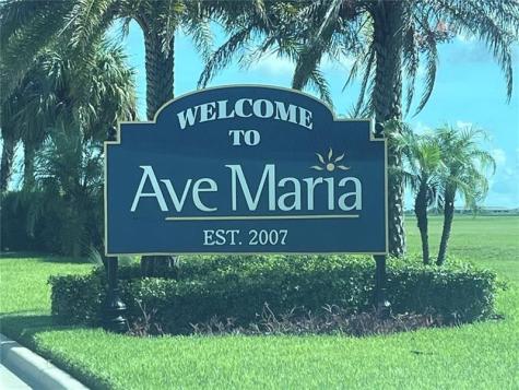 5542 Agostino Way Ave Maria FL 34142