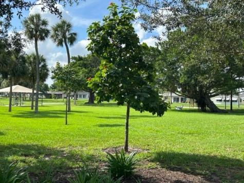 4731 NW 48th Terrace Tamarac FL 33319
