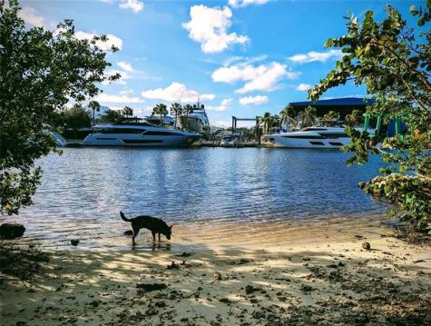 1317 SW 18th Avenue Fort Lauderdale FL 33312
