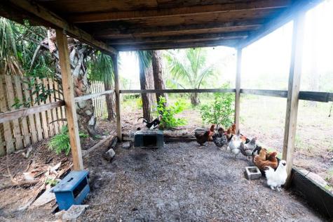 16140 E Preakness Drive Loxahatchee FL 33470