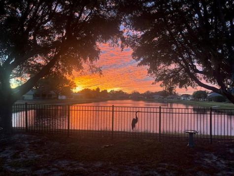 6526 E 68 Street Bradenton FL 34203