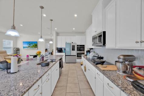 541 Rominger Loop Apopka FL 32712
