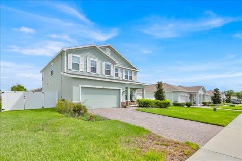 541 Rominger Loop Apopka FL 32712