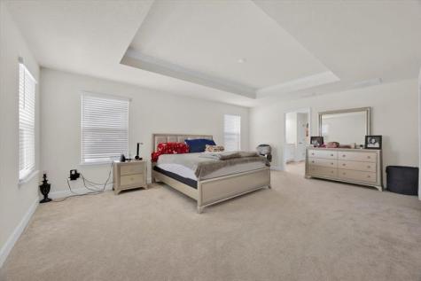 541 Rominger Loop Apopka FL 32712