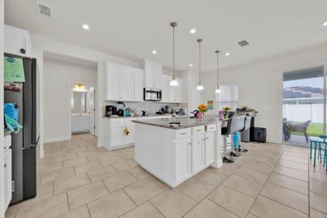541 Rominger Loop Apopka FL 32712