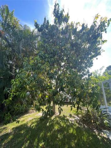 1150 SW Jumper Street Port St Lucie FL 34983