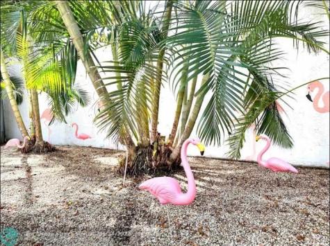 3232 NE 15th Street Pompano Beach FL 33062