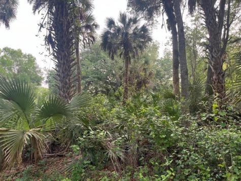 15148 NW 288th Street Okeechobee FL 34972