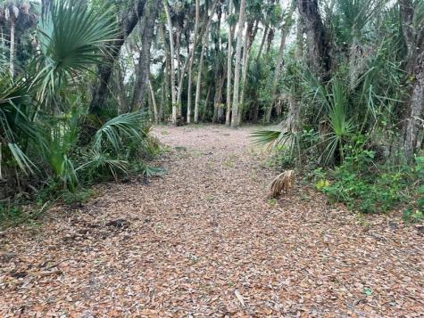15148 NW 288th Street Okeechobee FL 34972