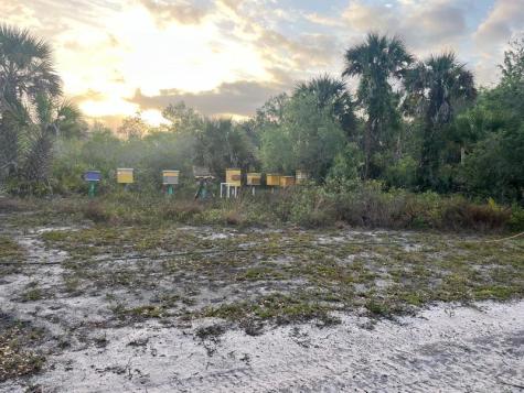 15148 NW 288th Street Okeechobee FL 34972