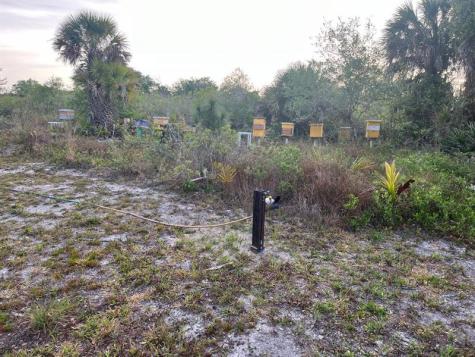 15148 NW 288th Street Okeechobee FL 34972