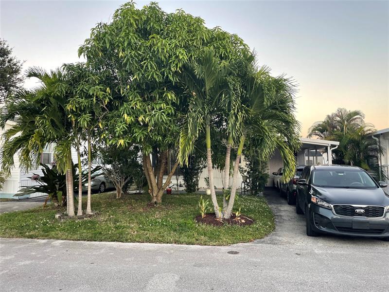 5580 SW 32nd Terrace Fort Lauderdale FL 33312