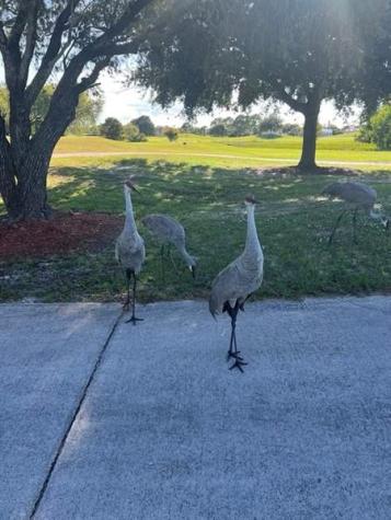 7642 Barn Owl Drive Port St Lucie FL 34952