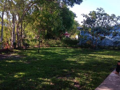 8204 NW 100th Terrace Tamarac FL 33321