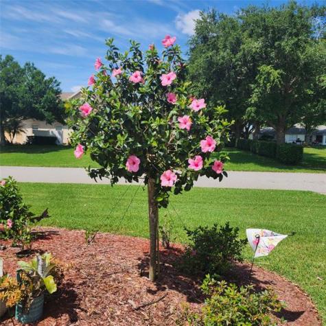 16 Meadowlake Circle Lake Placid FL 33852
