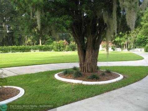 555 SW 87th Place Ocala FL 34476