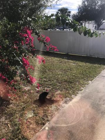 Port St Lucie FL 34953
