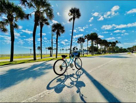 1920 NE 51st Court Fort Lauderdale FL 33308
