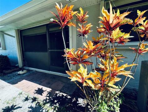 9870 Pecan Tree Drive Boynton Beach FL 33436