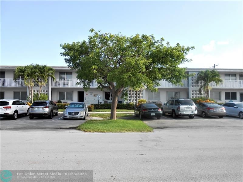 1920 NE 51st Court Fort Lauderdale FL 33308