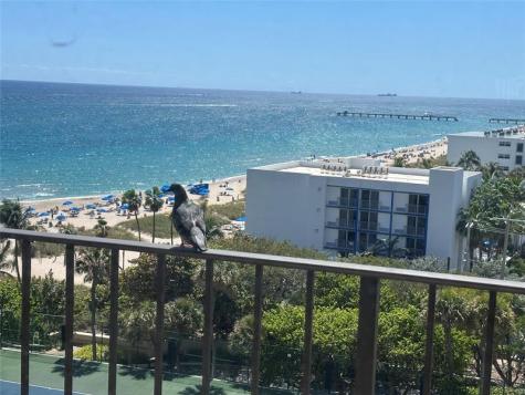 4900 N Ocean Boulevard Lauderdale By The Sea FL 33308