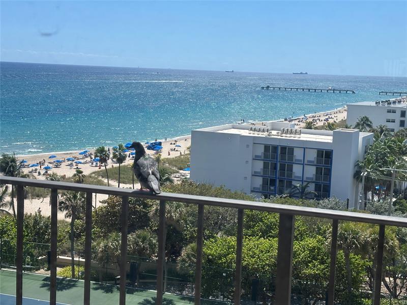 4900 N Ocean Boulevard Lauderdale By The Sea FL 33308