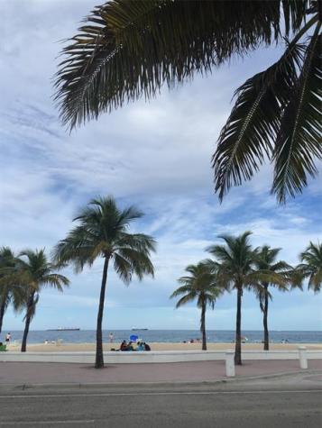 709 SE 15th Street Fort Lauderdale FL 33316