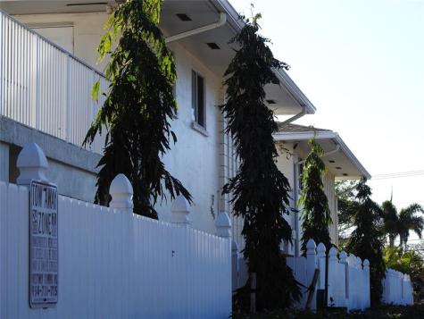 1872 NE 46th Street Fort Lauderdale FL 33308