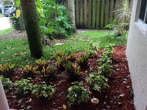 Plantation FL 33324