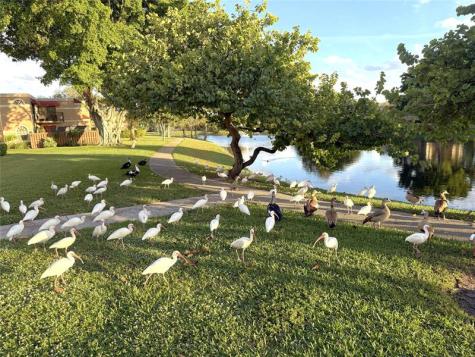 8171 Severn Drive Boca Raton FL 33433
