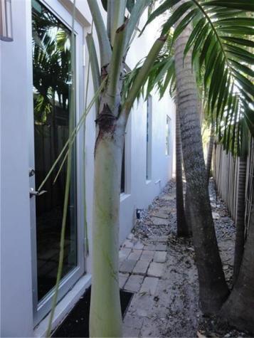 Wilton Manors FL 33305