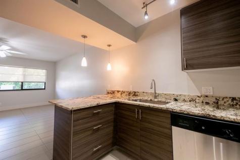 64 Isle Of Venice Drive Fort Lauderdale FL 33301