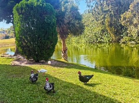 85 Northampton West Palm Beach FL 33417
