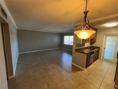 2020 NE 56th Street Fort Lauderdale FL 33308