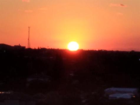 1160 Hillsboro Mile Hillsboro Beach FL 33062