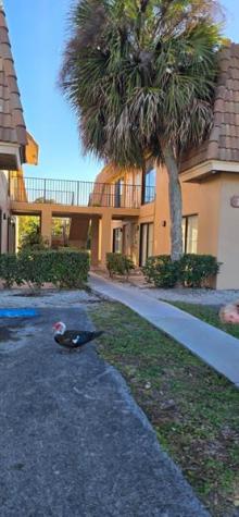 10930 Royal Palm Boulevard Coral Springs FL 33065