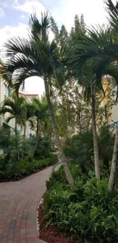 1741 NW 124th Place Pembroke Pines FL 33028