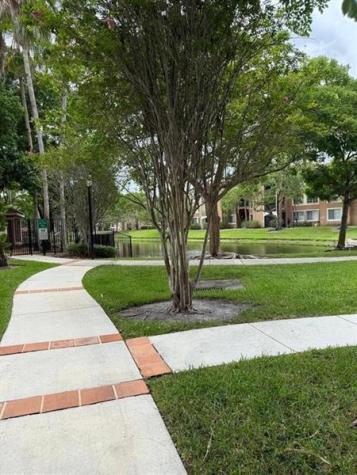 4856 N State Road 7 Coconut Creek FL 33073