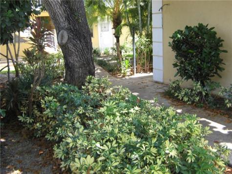 5162 NE 6th Avenue Oakland Park FL 33334