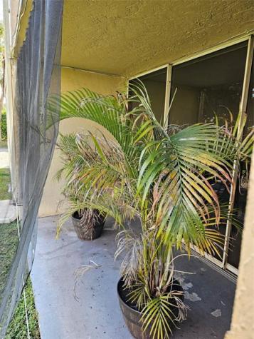 8294 NW 24th Street Coral Springs FL 33065