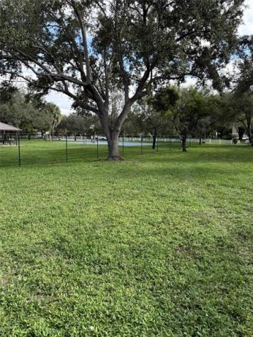 2033 Coral Ridge Drive Coral Springs FL 33071