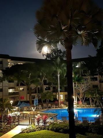 1000 River Reach Drive Fort Lauderdale FL 33315
