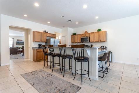 446 Orange Cosmos Boulevard Davenport FL 33837