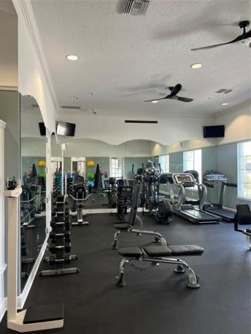 446 Orange Cosmos Boulevard Davenport FL 33837