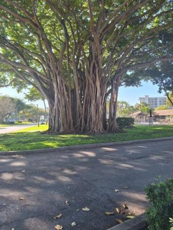 2661 S Course Drive Pompano Beach FL 33069