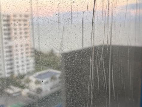 5100 N Ocean Boulevard Lauderdale By The Sea FL 33308