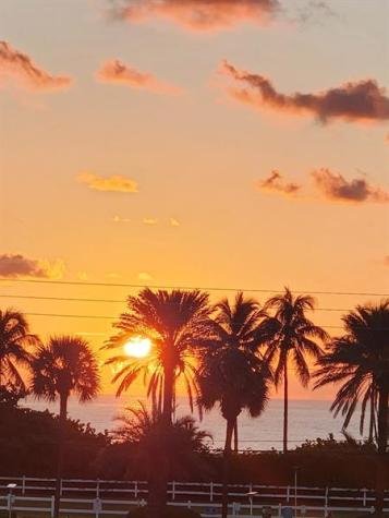 4117 N Bougainvilla Drive Lauderdale By The Sea FL 33308